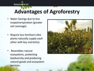 Advantages of Agroforestry 
• Water Savings due to less 
evapotranspiration (greater 
soil coverage). 
• Require less fert...