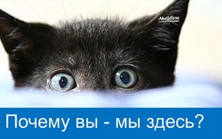 Почему вы - мы здесь?
 