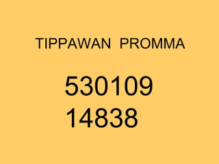 TIPPAWAN PROMMA


  530109
  14838
 