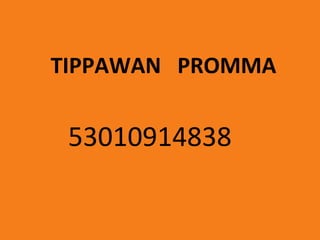 TIPPAWAN PROMMA


 53010914838
 