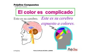 © PolyOne
Resinas, Colores, Compuestos
PolyOne CompuestosPolyOne CompuestosPolyOne CompuestosPolyOne Compuestos
Planta Certificada ISO-9001 y QS9000
El color es complicado
Este es su cerebro
expuesto a colores.
Esto es su cerebro.
 