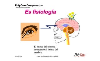 © PolyOne
Resinas, Colores, Compuestos
PolyOne CompuestosPolyOne CompuestosPolyOne CompuestosPolyOne Compuestos
Planta Certificada ISO-9001 y QS9000
Es fisiología
El hueso del ojo estaEl hueso del ojo esta
conectado al hueso delconectado al hueso del
cerebro.cerebro.
 