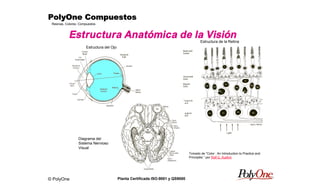 © PolyOne
Resinas, Colores, Compuestos
PolyOne CompuestosPolyOne CompuestosPolyOne CompuestosPolyOne Compuestos
Planta Certificada ISO-9001 y QS9000
Estructura del Ojo
Estructura de la Retina
Diagrama del
Sistema Nervioso
Visual
Estructura Anatómica de la Visión
Tomado de “Color : An Introduction to Practice and
Principles “ por Rolf G. Kuehni
 