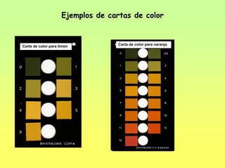 Ejemplos de cartas de color
Carta de color para limón Carta de color para naranja
 