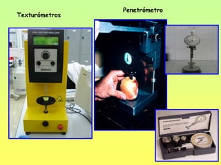 Penetrómetro
Texturómetros
 