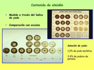 Contenido de almidón
• Medido a través del índice
de yodo
• Comparación con escalas
Solución de yodo:
1,2% de yodo metálico
2,4% de yoduro de
potasio
 
