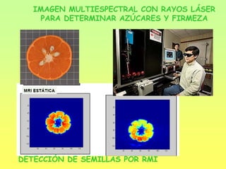 IMAGEN MULTIESPECTRAL CON RAYOS LÁSER
PARA DETERMINAR AZÚCARES Y FIRMEZA
DETECCIÓN DE SEMILLAS POR RMI
 