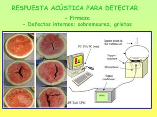 RESPUESTA ACÚSTICA PARA DETECTAR
- Firmeza
- Defectos internos: sobremaurez, grietas
 