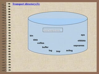 Transport directory(3):
usrsaptransusrsaptrans
bin
data
cofiles
buffer
log tmp actlog
sapnames
olddata
eps
 