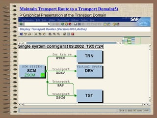 Maintain Transport Route to a Transport Domain(5)
Graphical Presentation of the Transport Domain
 