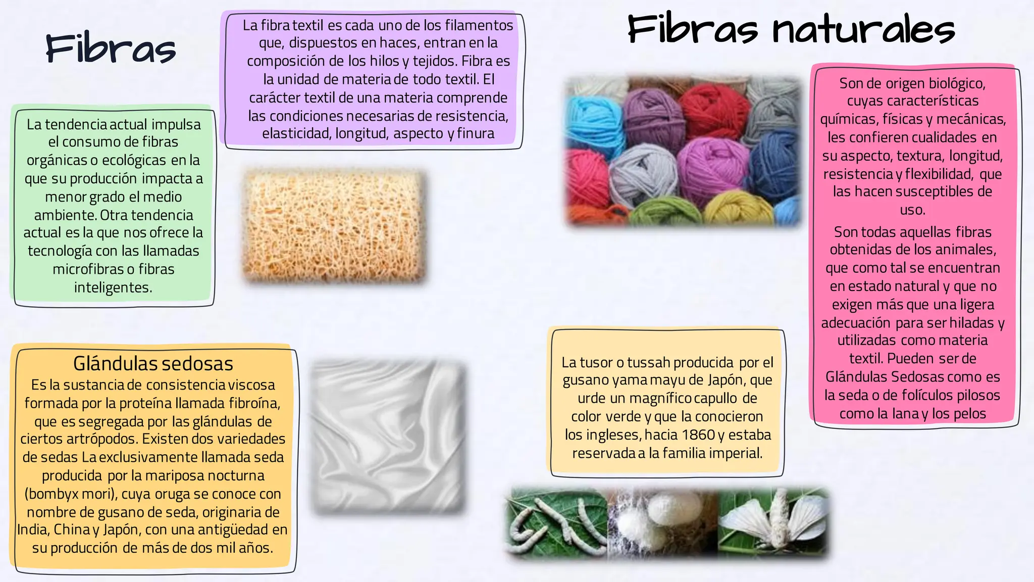 PROCESO TEXTIL Y ACABADOS SOBRE DIFERENTES TIPOS DE TELA | PDF
