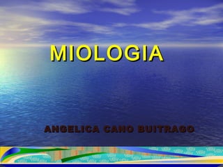 MIOLOGIAMIOLOGIA
ANGELICA CANO BUITRAGOANGELICA CANO BUITRAGO
 