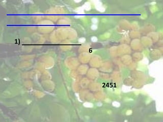 1)
     6



         2451
 