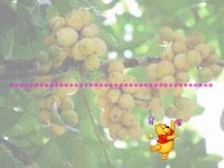 *****************************************
 