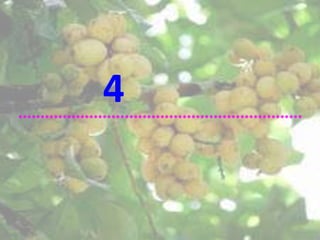 4
****************************************************************
 