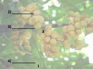 2)


3)
         3




4)
     1
 