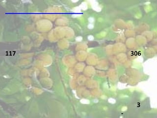 117       306




           3
      -
 