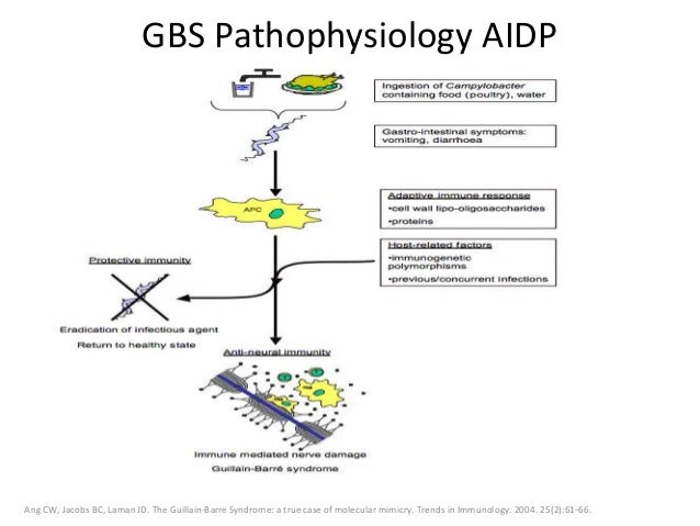 download neurobiology of