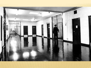 Steve Cooper's Belfast