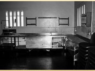 Steve Cooper's Belfast