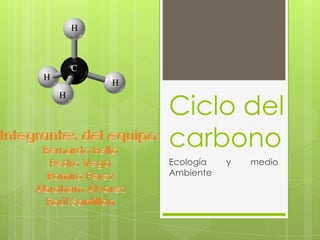 Ciclo del
carbono
Ecología   y   medio
Ambiente
 