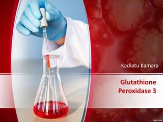 Glutathione
Peroxidase 3
Kadiatu Kamara
 