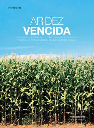 Aridez
vencidaA Syngenta supera a crise mundial, consegue aumentar sua
presença no mercado global e divulga resultados positivos
arquivosyngenta
Milho: após queda de produção
em 2009 no Brasil, espera-se
crescimento da cultura em 2010
nosso negócio
 