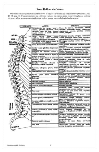 Humaniversidade Holística 9 
Zona Reflexa da Coluna 
O sistema nervoso controla e coordena todos os órgãos e estruturas do corpo humano (Anatomia Gray 29 Edi pag. 4). O desalinhamento de vértebras e discos na espinha pode causar irritações ao sistema nervoso e afetar as estruturas e órgãos, que podem resultar nas condições indicadas abaixo:  