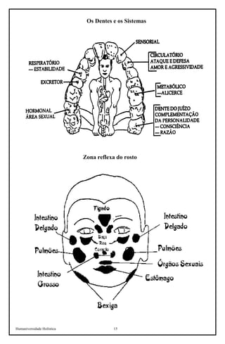 Humaniversidade Holística 15 
Os Dentes e os Sistemas 
Zona reflexa do rosto  