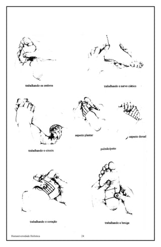 Humaniversidade Holística 24 
 
