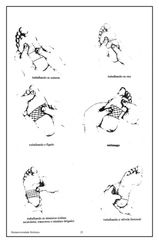 Humaniversidade Holística 25 
 