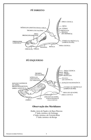 Humaniversidade Holística 4 
Observação dos Meridianos 
Dedão, início de Fígado e do Baço-Pâncreas 
2º dedo, termina o do Estômago 
4º dedo, termina o da Vesícula-Biliar 
5º dedo, termina o da Bexiga  