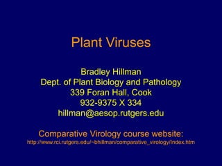Plant Viruses
Bradley Hillman
Dept. of Plant Biology and Pathology
339 Foran Hall, Cook
932-9375 X 334
hillman@aesop.rutgers.edu
Comparative Virology course website:
http://www.rci.rutgers.edu/~bhillman/comparative_virology/Index.htm
 