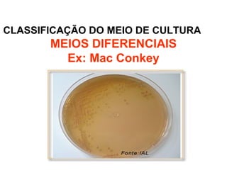 CLASSIFICAÇÃO DO MEIO DE CULTURA
MEIOS DIFERENCIAIS
Ex: Mac Conkey
 