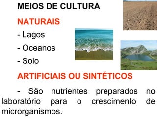 MEIOS DE CULTURA
NATURAIS
- Lagos
- Oceanos
- Solo
ARTIFICIAIS OU SINTÉTICOS
- São nutrientes preparados no
laboratório para o crescimento de
microrganismos.
 