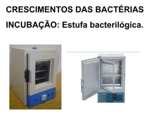 CRESCIMENTOS DAS BACTÉRIAS
INCUBAÇÃO: Estufa bacterilógica.
 