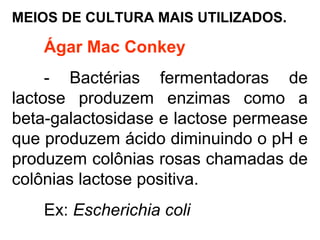 MEIOS DE CULTURA MAIS UTILIZADOS.
Ágar Mac Conkey
- Bactérias fermentadoras de
lactose produzem enzimas como a
beta-galactosidase e lactose permease
que produzem ácido diminuindo o pH e
produzem colônias rosas chamadas de
colônias lactose positiva.
Ex: Escherichia coli
 