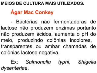 MEIOS DE CULTURA MAIS UTILIZADOS.
Ágar Mac Conkey
- Bactérias não fermentadoras de
lactose não produzem enzimas portanto
não produzem ácidos, aumenta o pH do
meio, produzindo colônias incolores,
transparentes ou ambar chamadas de
colônias lactose negativa.
Ex: Salmonella typhi, Shigella
dysenteriae.
 