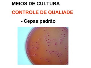 MEIOS DE CULTURA
CONTROLE DE QUALIADE
- Cepas padrão
 