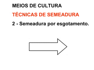 MEIOS DE CULTURA
TÉCNICAS DE SEMEADURA
2 - Semeadura por esgotamento.
 