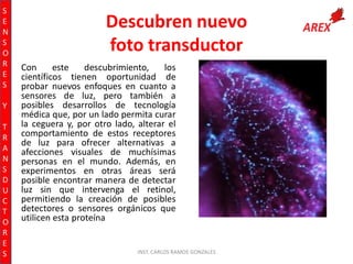 S
E
N
S
O
R
E
S
Y
T
R
A
N
S
D
U
C
T
O
R
E
S

Descubren nuevo
foto transductor
Con
este
descubrimiento,
los
científicos tienen oportunidad de
probar nuevos enfoques en cuanto a
sensores de luz, pero también a
posibles desarrollos de tecnología
médica que, por un lado permita curar
la ceguera y, por otro lado, alterar el
comportamiento de estos receptores
de luz para ofrecer alternativas a
afecciones visuales de muchísimas
personas en el mundo. Además, en
experimentos en otras áreas será
posible encontrar manera de detectar
luz sin que intervenga el retinol,
permitiendo la creación de posibles
detectores o sensores orgánicos que
utilicen esta proteína

INST. CARLOS RAMOS GONZALES

 
