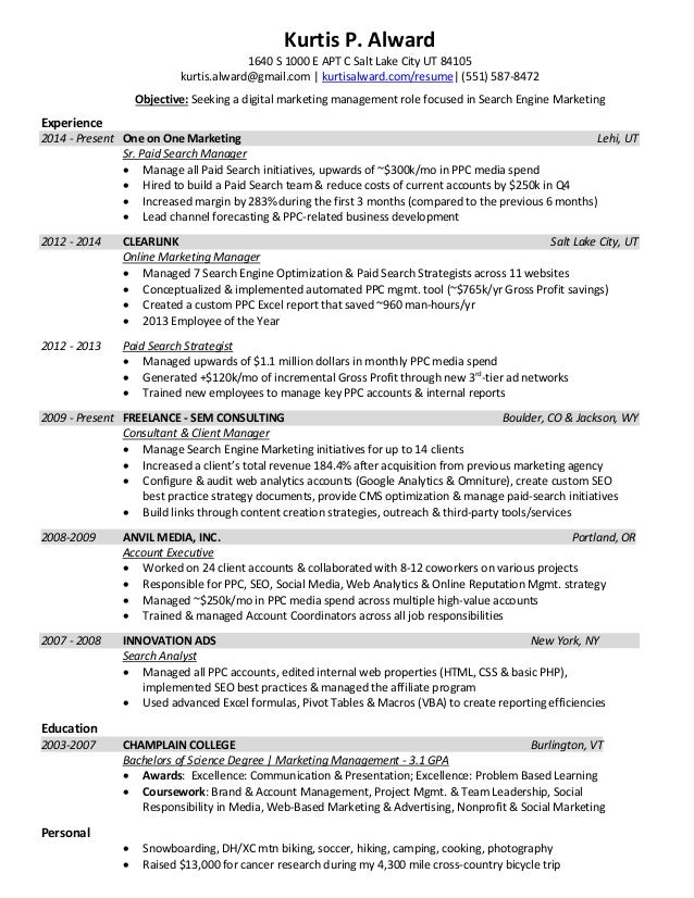web analytics resumes