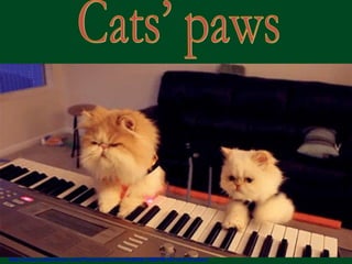 http://www.authorstream.com/Presentation/mireille30100-1698748-533-cats-39-paws/
 