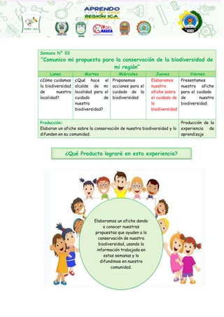 ¿Qué Producto lograré en esta experiencia?
Elaboramos un afiche dando
a conocer nuestras
propuestas que ayuden a la
conservación de nuestra
biodiversidad, usando la
información trabajada en
estas semanas y lo
difundimos en nuestra
comunidad.
Semana N° 03
“Comunico mi propuesta para la conservación de la biodiversidad de
mi región”
Lunes Martes Miércoles Jueves Viernes
¿Cómo cuidamos
la biodiversidad
de nuestra
localidad?
¿Qué hace el
alcalde de mi
localidad para el
cuidado de
nuestra
biodiversidad?
Proponemos
acciones para el
cuidado de la
biodiversidad
Elaboramos
nuestro
afiche sobre
el cuidado de
la
biodiversidad
Presentamos
nuestro afiche
para el cuidado
de nuestra
biodiversidad.
Producción:
Elaboran un afiche sobre la conservación de nuestra biodiversidad y lo
difunden en su comunidad.
Producción de la
experiencia de
aprendizaje
 