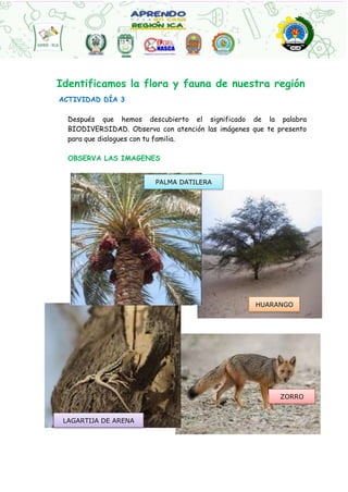 LAGARTIJA DE ARENA
ZORRO
HUARANGO
PALMA DATILERA
Identificamos la flora y fauna de nuestra región
ACTIVIDAD DÍA 3
Después que hemos descubierto el significado de la palabra
BIODIVERSIDAD. Observa con atención las imágenes que te presento
para que dialogues con tu familia.
OBSERVA LAS IMAGENES
 