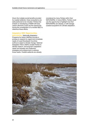 24
Available climate finance mechanisms and applications
Given the multiple social benefits provided
by coastal wetlands, these ecosystems are
well positioned to be included. Parties that
embark on developing a NAMA with blue
carbon elements could use the opportunity
during the consideration of a revised NDC to
reference these efforts.
Adaptation NDC Opportunities.
NAPs/NAPAs: Nationally Adaptation
Programs for Action (NAPAs) provide a
process to respond to urgent and immediate
needs of Least Developed Countries
(LDCs) to adapt to climate change. National
Adaptation Plans (NAPs) enable Parties to
identify medium- and long-term adaptation
needs and develop and implement
strategies and programmes to address
those needs. Coastal wetlands are already
considered by many Parties within their
NAPs/NAPAs. In future NDCs, Parties could
use the opportunity to highlight how their
NAPs/NAPAs are already, or will manage
coastal ecosystems for climate adaptation.
 