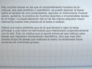 Hay muchas tareas en las que el comportamiento humano es bi-manual, sea este simétrico o asimétrico: se puede apreciar al tipear sobre el teclado de una computadora, ejecutar un instrumento musical (piano, guitarra), la practica de muchos deportes e innumerables tareas en el hogar. La especialización del rol de las manos adquiere mayor relevancia cuanta más precisa es la tarea a realizar.  Habrá una mano preferida que es la que llevará a cabo la tarea principal; y una mano no-dominante que interactuará cooperativamente con la otra. Esto no implica que el aporte bimanual sea ineficaz para tareas que requieran manipulación asimétrica, sino que mas bien orienta el tipo de tareas que realizara la mano no-dominante hacia acciones de motricidad gruesa. 