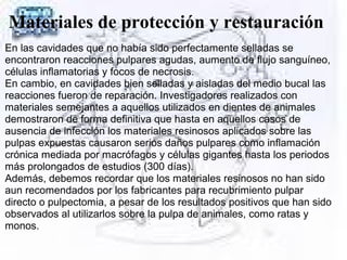 Materiales de protección y restauración
En las cavidades que no había sido perfectamente selladas se
encontraron reacciones pulpares agudas, aumento de flujo sanguíneo,
células inflamatorias y focos de necrosis.
En cambio, en cavidades bien selladas y aisladas del medio bucal las
reacciones fueron de reparación. Investigadores realizados con
materiales semejantes a aquellos utilizados en dientes de animales
demostraron de forma definitiva que hasta en aquellos casos de
ausencia de infección los materiales resinosos aplicados sobre las
pulpas expuestas causaron serios daños pulpares como inflamación
crónica mediada por macrófagos y células gigantes hasta los periodos
más prolongados de estudios (300 días).
Además, debemos recordar que los materiales resinosos no han sido
aun recomendados por los fabricantes para recubrimiento pulpar
directo o pulpectomia, a pesar de los resultados positivos que han sido
observados al utilizarlos sobre la pulpa de animales, como ratas y
monos.
 