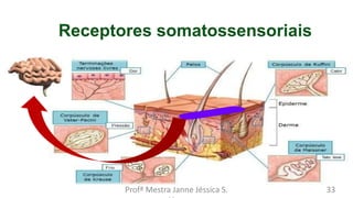 Receptores somatossensoriais
Profª Mestra Janne Jéssica S. 33
 