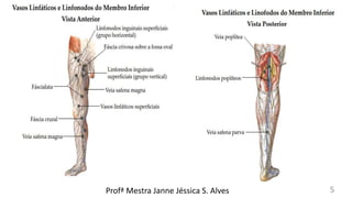 Profª Mestra Janne Jéssica S. Alves 5
 